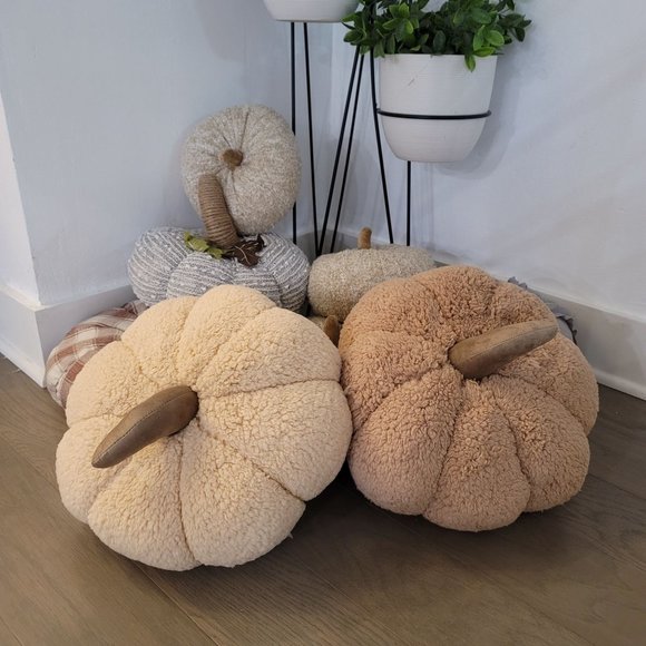 Warm and Cozy NWOT tan and cream plush pumpkin set pillow plush - Picture 9 of 9